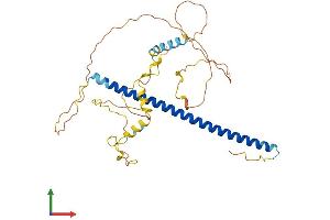 AlphaFold protein structure predicition of Mouse Recombinant Jun Protein, UniprotID P05627 (C-JUN Protein (AA 1-334) (His tag))