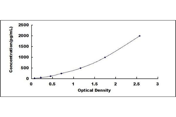 Calprotectin ELISA Kit