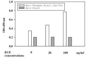 Image no. 7 for STAT1,STAT3,STAT5 ELISA Kit (ABIN1981847)