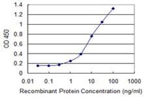 Detection limit for recombinant GST tagged NAV2 is 0. (NAV2 antibody  (AA 1878-1973))