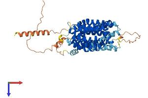AlphaFold protein structure predicition of Mouse Recombinant Mfsd14a Protein, UniprotID P70187 (HIAT1 Protein (AA 1-490) (His tag))