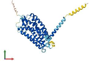 AlphaFold protein structure predicition of Mouse Recombinant Gpr183 Protein, UniprotID Q3U6B2 (GPR183 Protein (AA 1-357) (His tag))