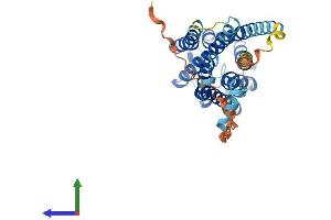 AlphaFold protein structure predicition of Mouse Recombinant Gpr157 Protein, UniprotID Q8C206