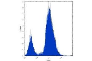 Alkaline Phosphatase antibody flow cytometric analysis of 293 cells (right histogram) compared to a negative control (left histogram). (ALPL antibody  (AA 217-246))