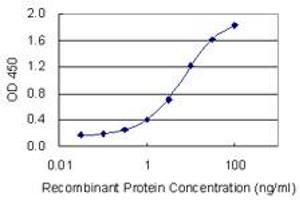 Detection limit for recombinant GST tagged HCN4 is 0. (HCN4 antibody  (AA 1105-1203))