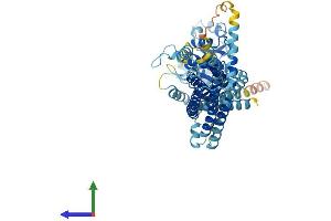 AlphaFold protein structure predicition of Mouse Recombinant Mx1 Protein, UniprotID P09922