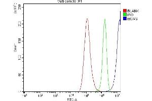 anti-Minichromosome Maintenance Complex Component 6 (MCM6) (AA 14-821) antibody