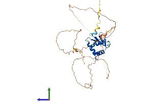 AlphaFold protein structure predicition of Mouse Recombinant Etv2 Protein, UniprotID P41163