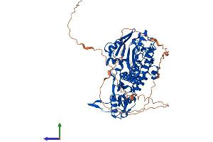 AlphaFold protein structure predicition of Human Recombinant RIOX1 Protein, UniprotID Q9H6W3 (C14orf169 + NO66 Protein (AA 1-641) (His tag))