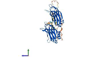 AlphaFold protein structure predicition of Mouse Recombinant Doc2a Protein, UniprotID Q7TNF0