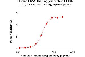 ELISA plate pre-coated by 2 μg/mL (100 μL/well) Human LIV-1 Protein, His Tag (ABIN7455490, ABIN7490968 and ABIN7490970) can bind Anti-LIV-1 Neutralizing antibody ABIN7478009 and ABIN7490985 in a linear range of 0.