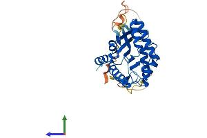 AlphaFold protein structure predicition of Mouse Recombinant Bccip Protein, UniprotID Q9CWI3 (BCCIP Protein (AA 1-316) (His tag))