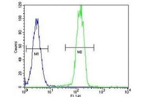 Flow Cytometry (FACS) image for anti-Poly (ADP-Ribose) Polymerase 1 (PARP1) (AA 183-214) antibody (ABIN3032164)