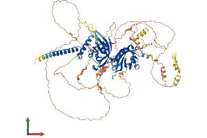 Protein Structure (PS) image for Hypoxia Inducible Factor 1, alpha Subunit (Basic Helix-Loop-Helix Transcription Factor) (HIF1A) (AA 1-826) protein (His tag) (ABIN7554093)