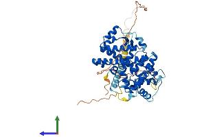 AlphaFold protein structure predicition of Mouse Recombinant Rorb Protein, UniprotID Q8R1B8 (RORB Protein (AA 1-470) (His tag))