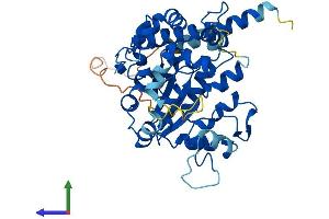 AlphaFold protein structure predicition of Human Recombinant CHST1 Protein, UniprotID O43916 (CHST1 Protein (AA 1-411) (His tag))