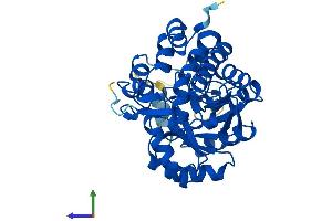 AlphaFold protein structure predicition of Human Recombinant HAO1 Protein, UniprotID Q9UJM8 (HAO1 Protein (AA 1-370) (His tag))