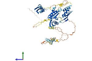 AlphaFold protein structure predicition of Mouse Recombinant Stau2 Protein, UniprotID Q8CJ67 (Double-stranded RNA-binding protein Staufen homolog 2 (STAU2) (AA 1-570) protein (His tag))