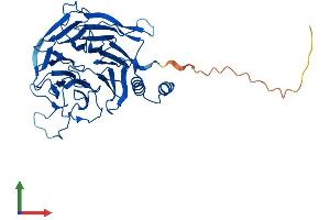 AlphaFold protein structure predicition of Mouse Recombinant Ercc8 Protein, UniprotID Q8CFD5 (ERCC8 Protein (AA 1-397) (His tag))