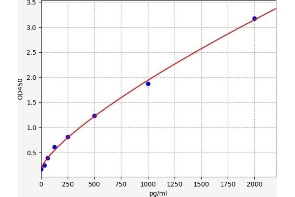CHST1 ELISA Kit