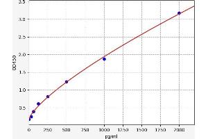 Typical standard curve (CHST1 ELISA Kit)