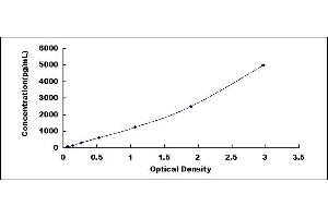 Typical standard curve (ICAM1 ELISA Kit)