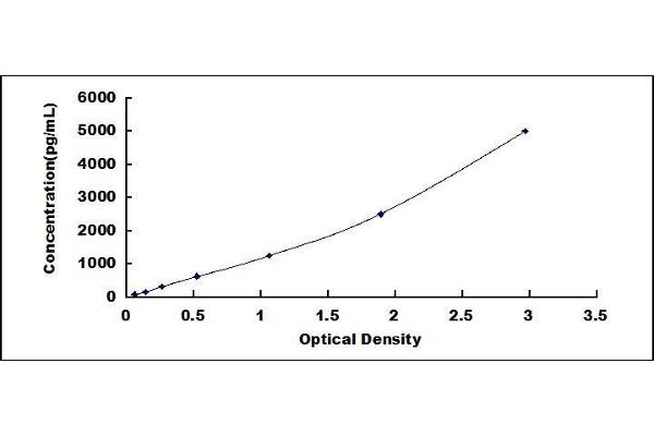 ICAM1 ELISA Kit