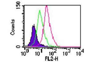 Intracellular flow analysis of Tlr11 in Balb/c mouse splenocytes. (TLR11 antibody  (AA 900-950))