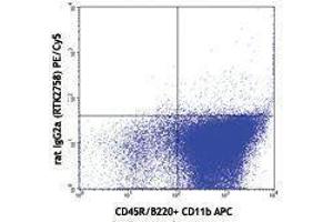 Flow Cytometry (FACS) image for anti-Fms-Related tyrosine Kinase 3 (FLT3) antibody (PE-Cy5) (ABIN2658915) (FLT3 antibody  (PE-Cy5))