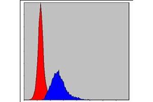 Flow cytometric analysis of MCF-7 cells using CRK mouse mAb (blue) and negative control (red). (Crk antibody)
