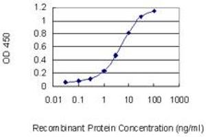 Detection limit for recombinant GST tagged RASSF8 is 0.