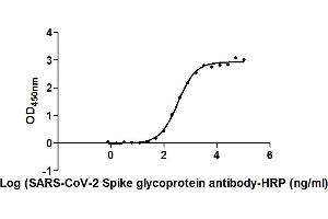 The Binding Activity of SARS-CoV-2-S Antibody, HRP conjugated with SARS-CoV-2-S. (Recombinant SARS-CoV-2 Spike S1 antibody  (HRP))