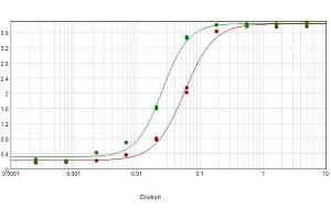 ELISA results of purified Rabbit Anti-Mouse IgG Biotin Conjugated Antibody tested against purified Mouse IgG. (Rabbit anti-Mouse IgG (Heavy & Light Chain) Antibody (Biotin) - Preadsorbed)