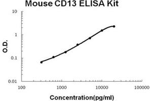 Mouse CD13/Aminopeptidase N PicoKine ELISA Kit standard curve