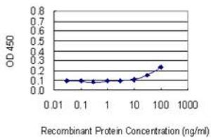 Detection limit for recombinant GST tagged PRLR is 10 ng/ml as a capture antibody. (Prolactin Receptor antibody  (AA 371-479))
