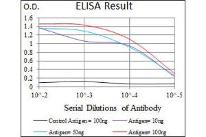 ELISA image for anti-Piwi-Like 4 (PIWIL4) (AA 304-434) antibody (ABIN1844723) (PIWIL4 antibody  (AA 304-434))