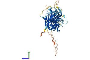 AlphaFold protein structure predicition of Mouse Recombinant Arrb2 Protein, UniprotID Q91YI4 (Arrestin 3 Protein (AA 1-410) (His tag))