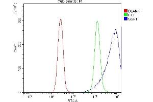 Flow Cytometry analysis of K562 cells using anti-TRAP Alpha/TRAPA/SSR1 antibody (ABIN7601975).