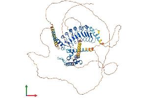 AlphaFold protein structure predicition of Mouse Recombinant Lrch2 Protein, UniprotID Q3UMG5 (LRCH2 Protein (AA 1-773) (His tag))