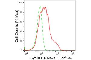 Flow cytometric analysis of Cyclin B1 expression in HeLa cells using Cyclin B1 antibody (ABIN7798189), 1:2,000).