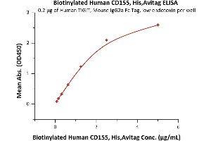 Immobilized Human TIGIT, Mouse IgG2a Fc tag, low endotoxin (ABIN4949144,ABIN4949145) at 2 μg/mL (100 μL/well) can bind Biotinylated Human CD155, His,Avitag (ABIN6386413,ABIN6388286) with a linear range of 0. (Poliovirus Receptor Protein (PVR) (AA 21-343) (His tag,AVI tag,Biotin))