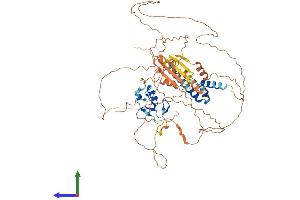AlphaFold protein structure predicition of Mouse Recombinant Rnf6 Protein, UniprotID Q9DBU5 (RNF6 Protein (AA 1-667) (His tag))