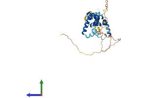 Protein Structure (PS) image for Pre-B-Cell Leukemia Homeobox 4 (PBX4) (AA 1-374) protein (His tag) (ABIN7550604)