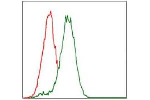 Image no. 2 for anti-Cytochrome P450, Family 3, Subfamily A, Polypeptide 4 (CYP3A4) (AA 243-430) antibody (ABIN1497736) (CYP3A4 antibody  (AA 243-430))