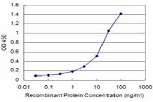 Detection limit for recombinant GST tagged AKT2 is approximately 1ng/ml as a capture antibody. (AKT2 antibody  (AA 100-189))