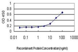 Detection limit for recombinant GST tagged PSMB6 is approximately 0. (PSMB6 antibody  (AA 1-239))