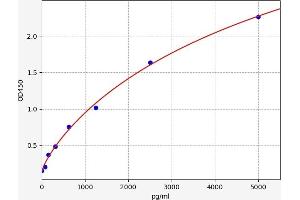 C9orf3 ELISA Kit