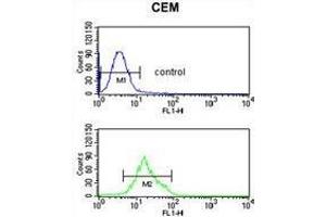 TCHP Antibody (Center) flow cytometric analysis of CEM cells (bottom histogram) compared to a negative control cell (top histogram). (TCHP antibody  (Middle Region))