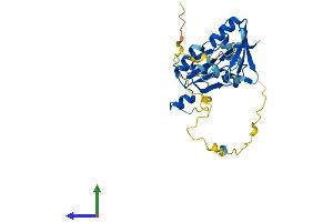 Protein Structure (PS) image for Small Nuclear Ribonucleoprotein Polypeptide A (SNRPA) (AA 1-287) protein (His tag) (ABIN7557767)