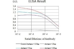 Black line: Control Antigen (100 ng),Purple line: Antigen (10 ng), Blue line: Antigen (50 ng), Red line:Antigen (100 ng) (CLEC9A antibody  (AA 57-241))